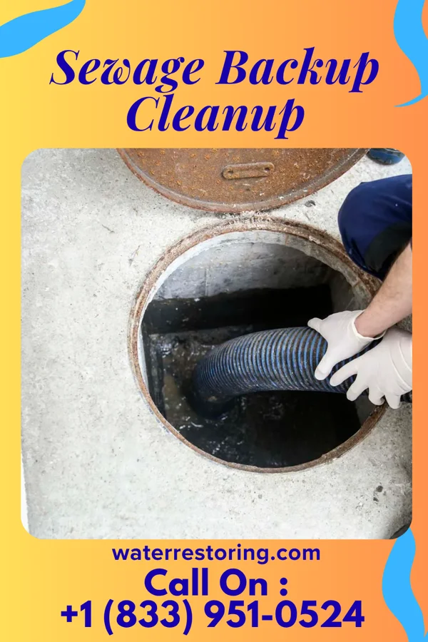 Sewage Backup Cleanup in Libertyville, IA